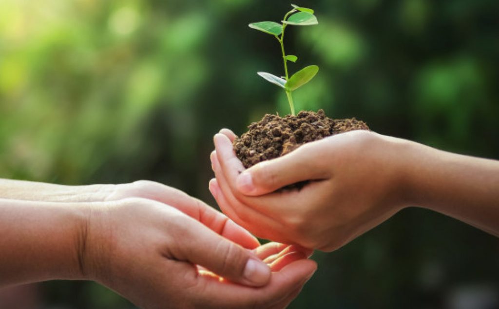 Accueil - Micro-crèche Graines de Vie - Crèche Ecologique